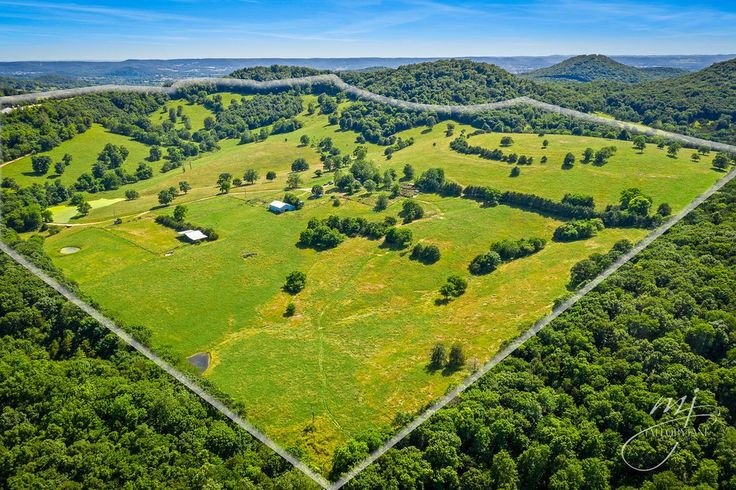 40% Mother Earth Untouched